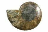 Cut & Polished Ammonite Fossil (Half) - Madagascar #354134-1